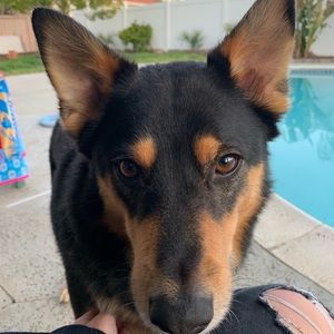 Meet your Posher, Brooke